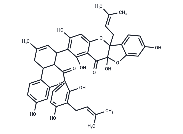 Sorocein H