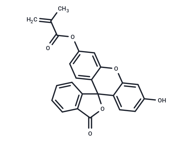 Fluorescein O-methacrylate