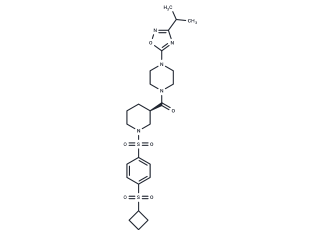 DX3-234