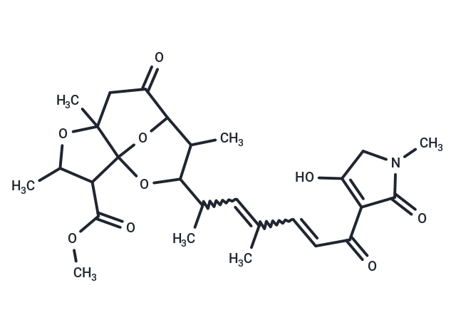 BU-2313 A