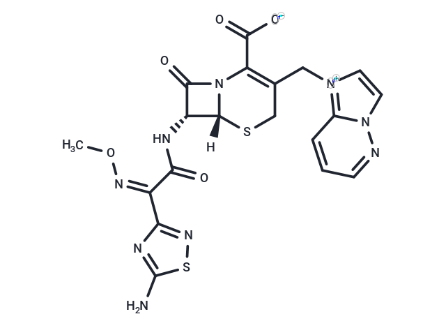 Cefozopran