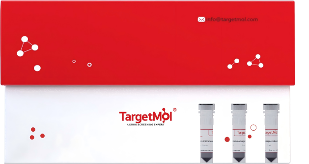 Human CD3/CD28 T Cell Activation Beads