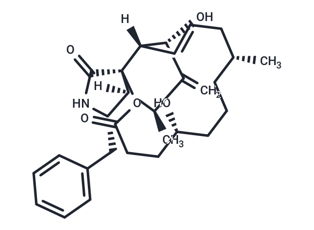 Dihydrocytochalasin B