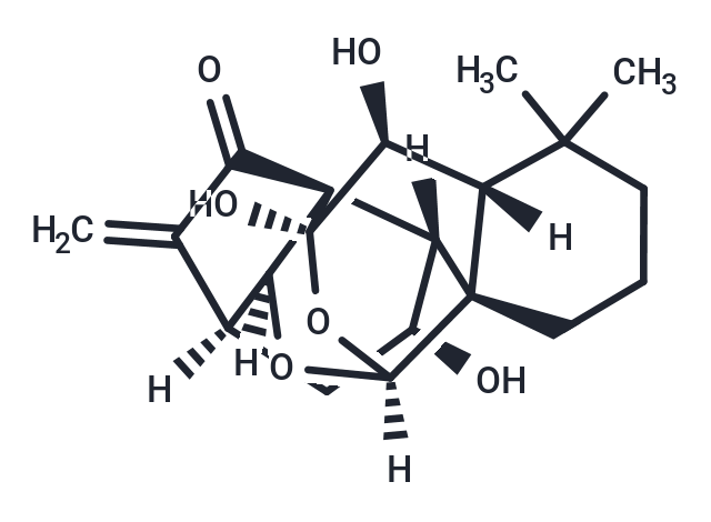 Macrocalin B