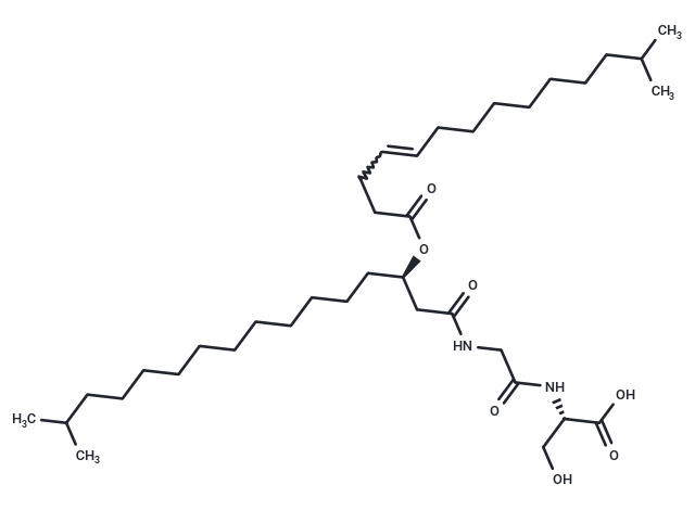 WB 3559 B