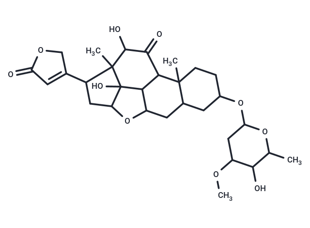 Leptoside