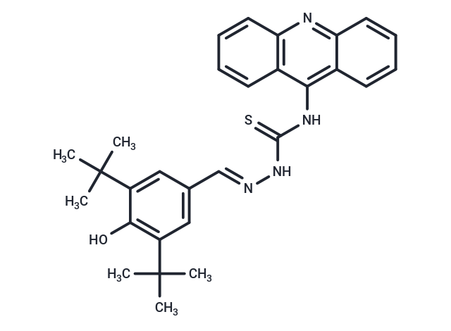 CL-13