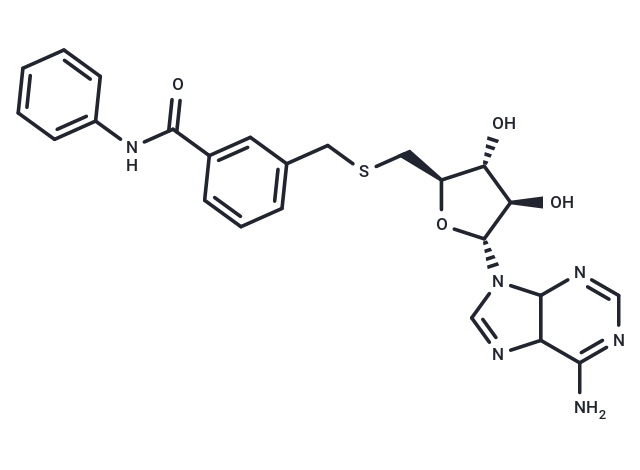 MTI013