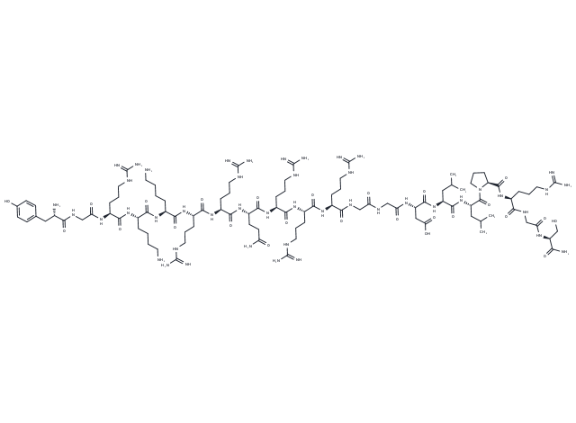 Drp1 peptide inhibitor P110