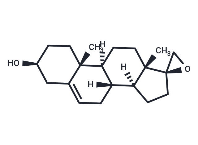 BNN-20