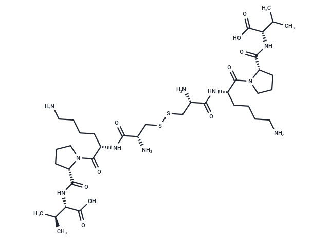 CZEN-002