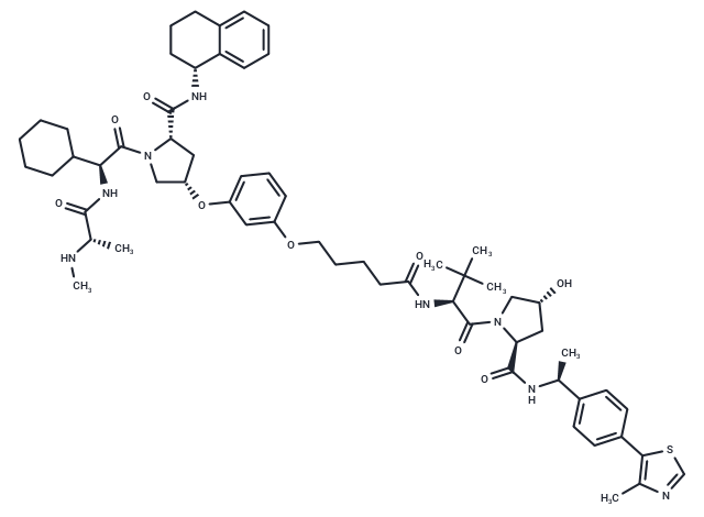 CST626