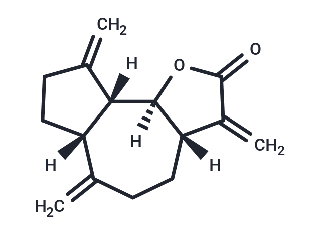 Dehydrocostus Lactone