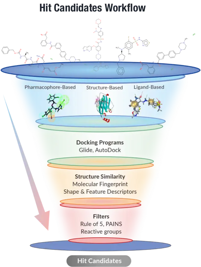 TargetMol | Hit Candidates Workflow