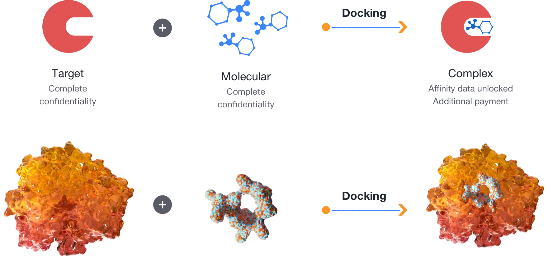 TargetMol | Molecular Docking Workfolw