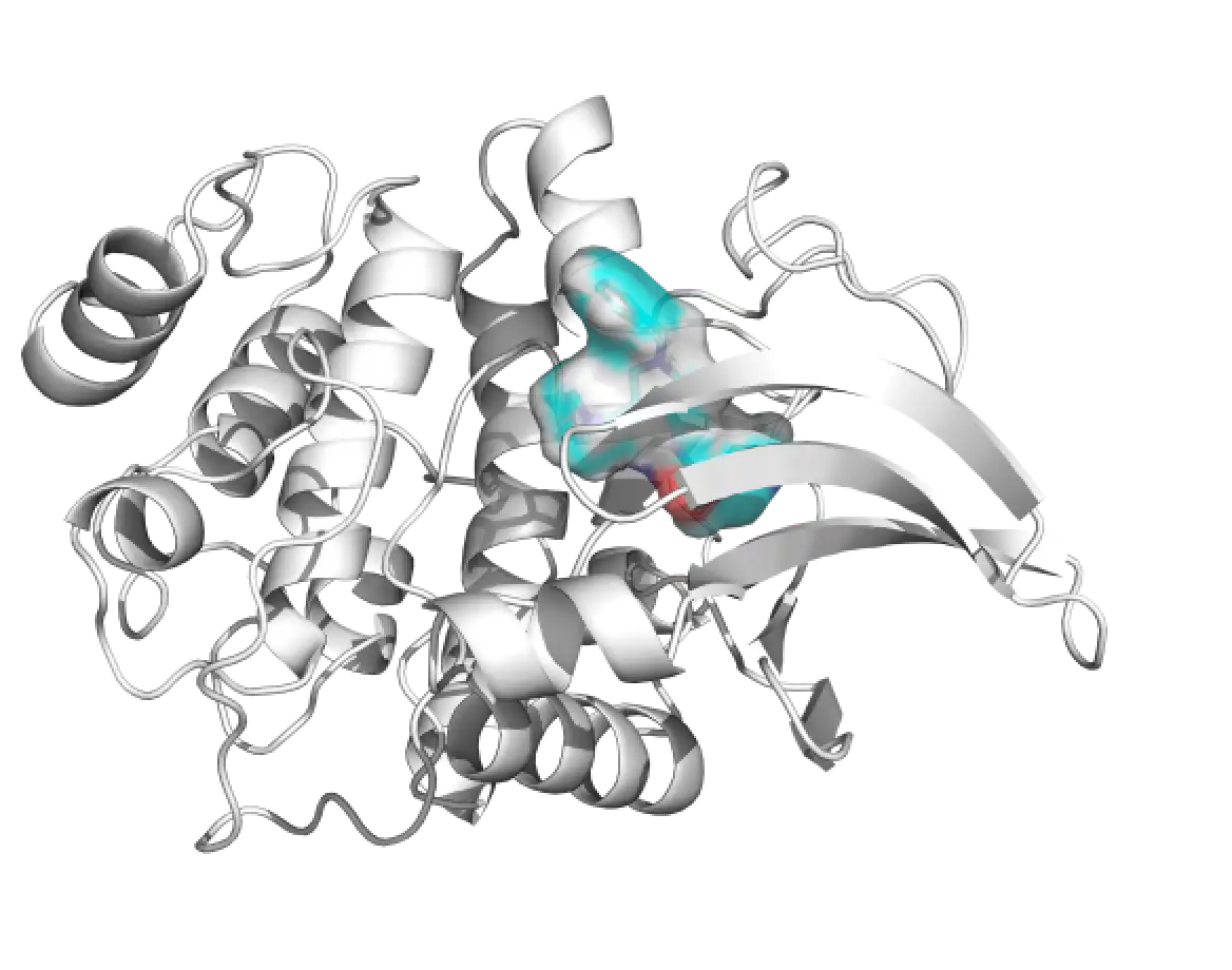 TargetMol | HIT CANNDIDATES Faster and Lighter Drug Discovery